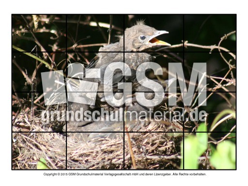 Puzzle-Amsel-4.pdf